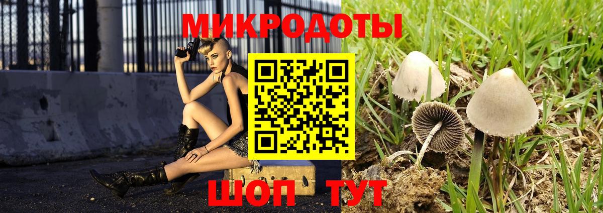 Галлюциногенные грибы GOLDEN TEACHER Ликино-Дулёво
