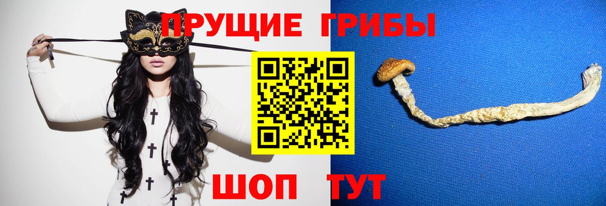 Ликино-Дулёво  Галлюциногенные грибы GOLDEN TEACHER  Галлюциногенные грибы ЛСД  Вход с VPN 